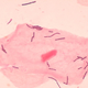 Image for article titled 9 Types Of Bacteria You Didn't Know You're Sharing Your House With